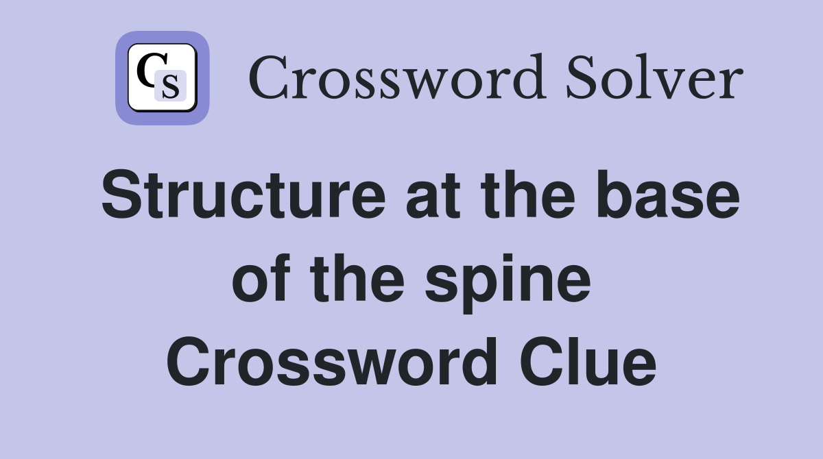 Structure at the base of the spine Crossword Clue Answers Crossword